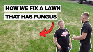 His Lawn Was in Trouble! | Get Rid of Lawn Fungus