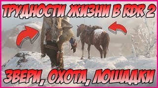 ЖИВАЯ ПРИРОДА В RED DEAD REDEMPTION 2 ОХОТА РЫБАЛКА ЛОШАДИ СКРИНШОТЫ RDR 2