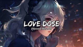 Download Lagu Love Dose {Slowed+Reverb} Lofi Song || #yoyohoneysingh MP3