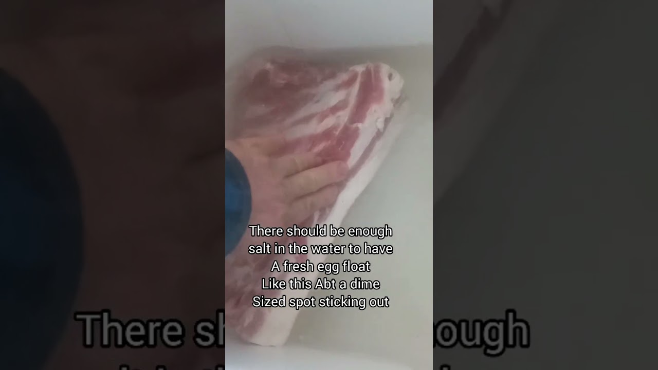 First Step in curing bacon and hams... you want to know this.