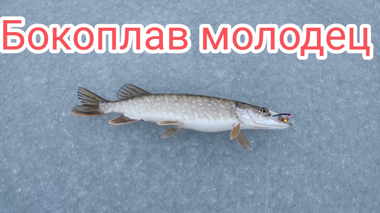 Бокоплав,работает!!! - YouTube