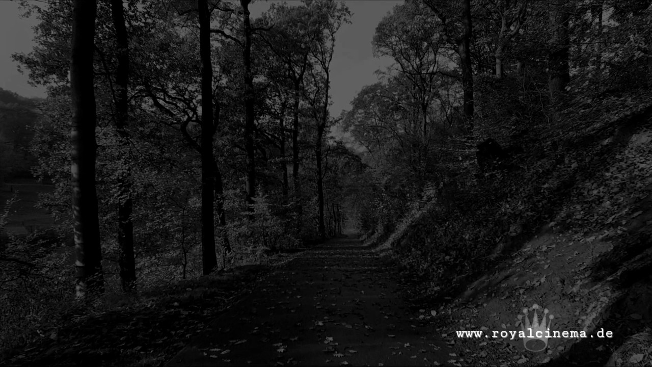 Royalcinema.de - Barendorf Herbst 2016