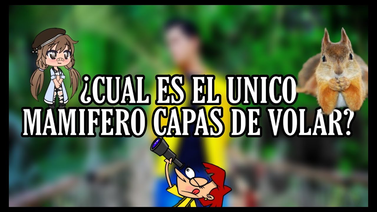 Cual Es El Unico Mamifero Capaz De Volar
