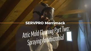 Servpro Attic Mold Cleaning Antimicrobial Spray