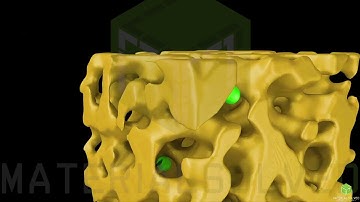 Charge path features in bulk heterojunction