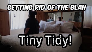 Clean With Me, Trying To Feel Better, Get Better Tiny Tidy Tuesday Cleaning Motivation