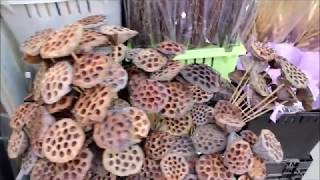 What's In The Cooler February 24th, 2020