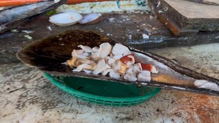 Estos ricos mariscos encontramos en Bahía de Kino