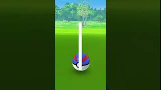 I Caught Fat Grey Cat In Pokemon Go