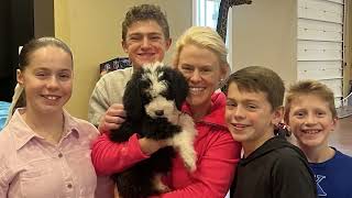 The Kelly Family's New Puppy!!