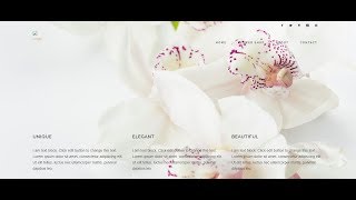 How to make beautiful website fast - Making of florist website template