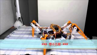 spider robot power show (quadruped, quad robot)