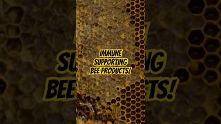 4 Bee Products You Need to Know! | Immune Support | Brain Function