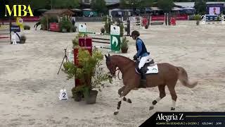 Alegria Z - Show Video