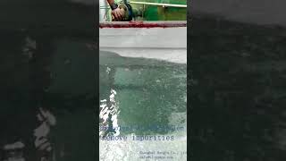 Dissolved Air Flotation System, Air flotation treatment. Wastewater treatment with grease,