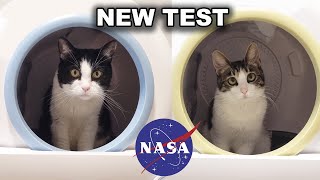 A Spaceship For Every Cat To Explore Space