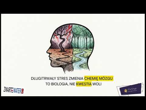 Kadr z odcinka Leśne spacery