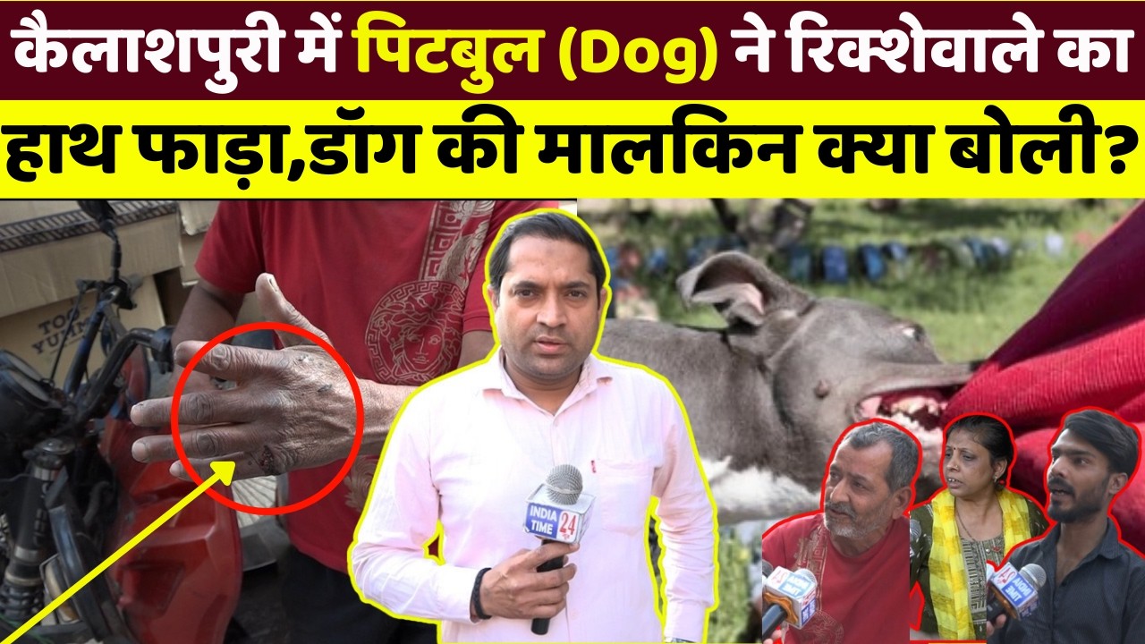 कैलाशपूरी (पालम) में पिटबुल(Dog) ने हाथ फाड़ा, डॉग लवर कैमरे पर सफाई देती नज़र आई।