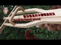 How to bend wood | 用曲木技法製作拐杖 | woodworking #033