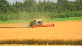 LEXION Testimonial Nick Philp UK / 2013 / en