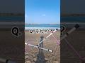 【質問】それなに？　#shorts