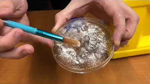 Demonstration: Fingerprinting 101 with Cole