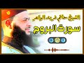 Sheikh Hatem Farid سورة البروج الشيخ حاتم فريد قارئ المليون مصلي المصحف الكامل 