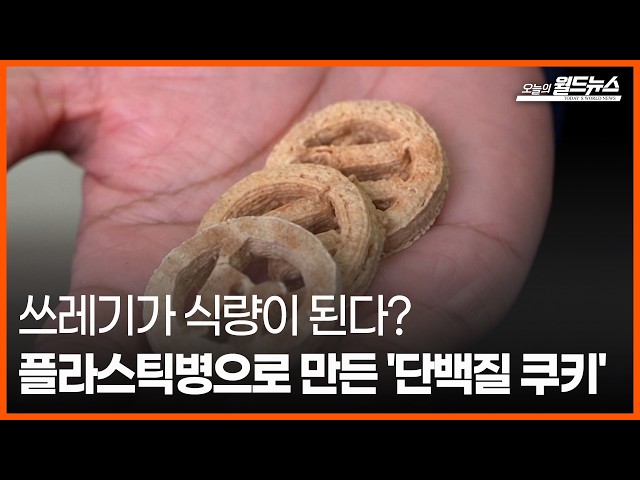 [오늘의 세계] 쓰레기가 식량이 된다?... 플라스틱병으로 만든 '단백질 쿠키' / OBS 오늘의 월드뉴스