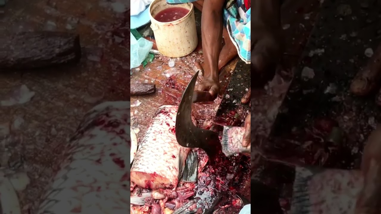 Amazing big fish cutting video , Fish cutting skills in market #shorts #fish #fish_cutting #fishing