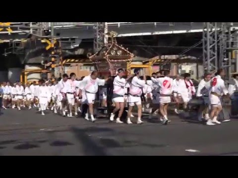 2015千住本氷川神社大祭02