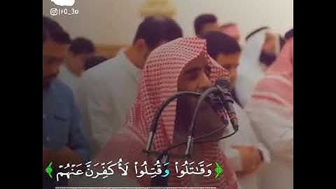 تلاوة تلامس القلب 💙