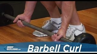 Barbell Curl - Biceps Exercise - Bodybuilding.com