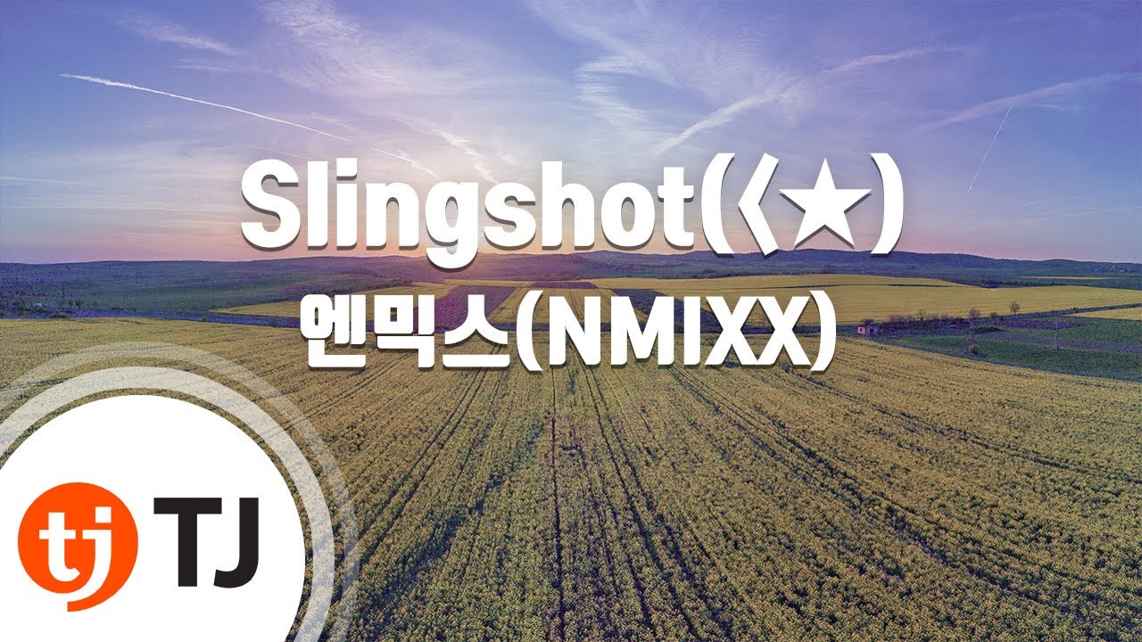 アイドル TJ True Scale 1:43 Lola T810 Nissan IMSA GTP #83 Miami GP 1986