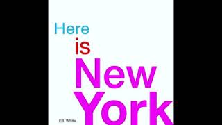 Here is New York Wealth