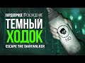 ТЕМНЫЙ ХОДОК ► THE LONG DARK (ESCAPE THE DARKWALKER)