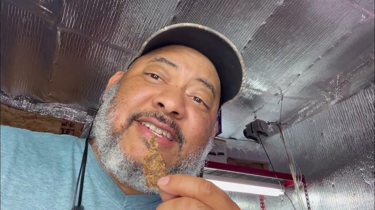 Delicious Homemade Rabbit Jerky Recipe Easy and Flavorful YouTube