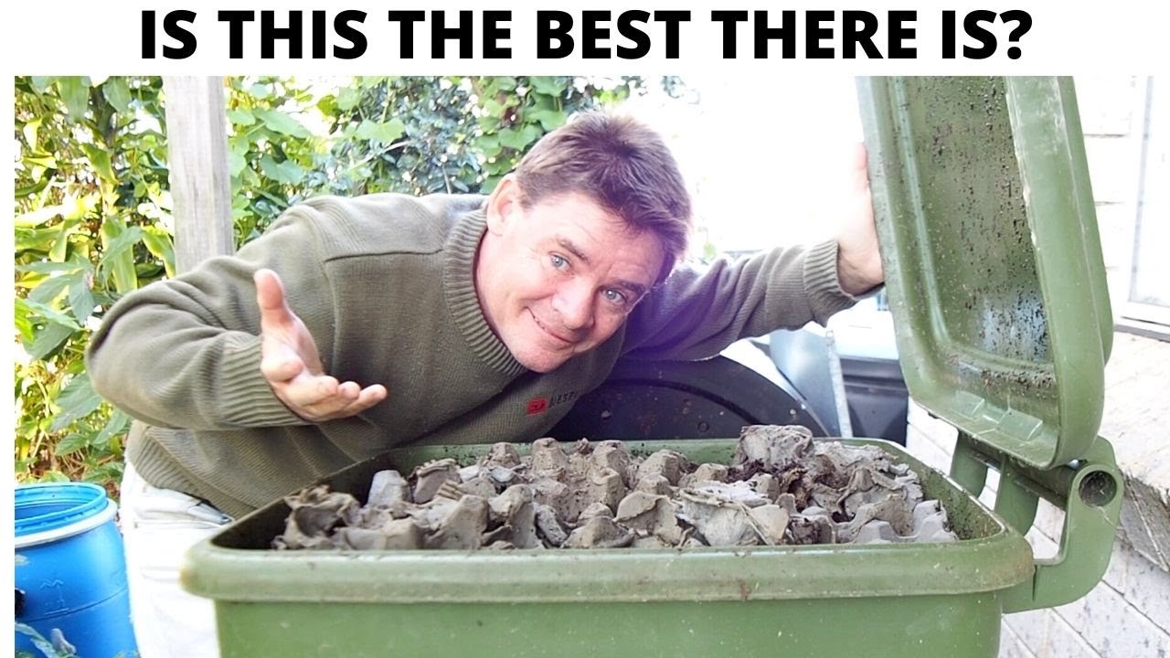 Обзор червячной фермы Hungry Bin после двух лет использования!