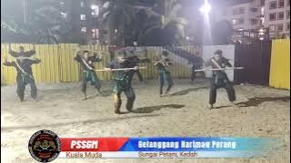Pendekar Harimau Perang