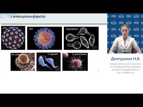 Бесплодный брак. Лабораторная и инструментальная диагностика женского бесплодия. Методы лечения.