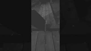 17 Февраля 2024 Г.