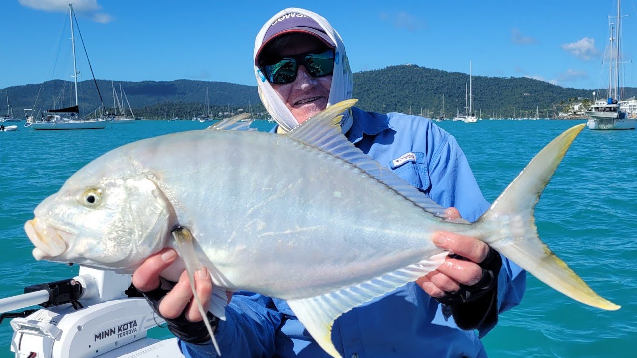 Golden Trevally On Vibes Whitsundays QLD YouTube Golden Trevally On Vibes Whitsundays QLD YouTube