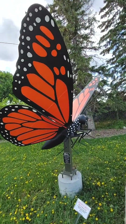 Come along with us to explore Winkler, Manitoba #pembinavalley #manitoba #winkler