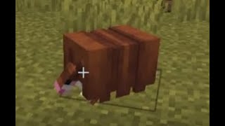 I gave an armadillo armor to my wolf (goes wrong) | Minecraft | JarpPlay screenshot 5