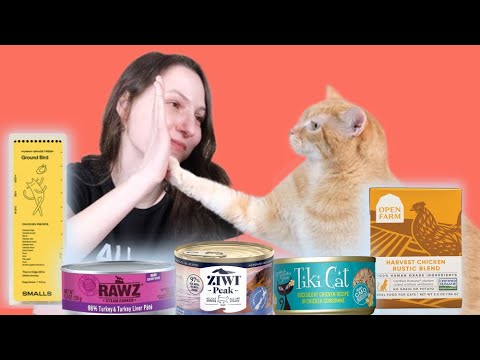 Video: Welk natvoer is het beste voor katten?