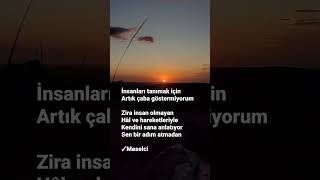 Artik İnsanlari Tanimak İçi̇n Çabam Yok Resimi