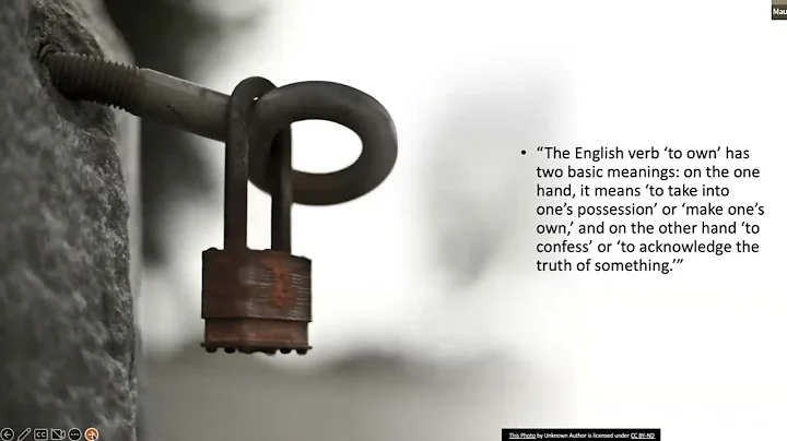 The Meaning of Ownership (Politics of the Real 6)
