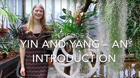 Inner Goddess TV #2: Yin and yang – an introduction