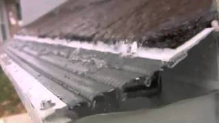 Leaf Solution Gutter Protection