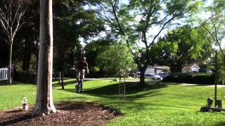IMG 16771]