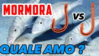 Come Scegliere l&#39;Amo Perfetto per la Pesca alla Mormora: Guida Completa e Consigli Pratici (pt.1)